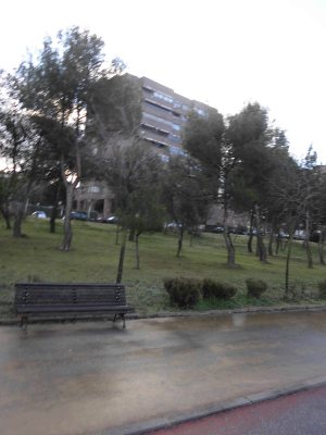 Trees, bushes, gardens, parks...